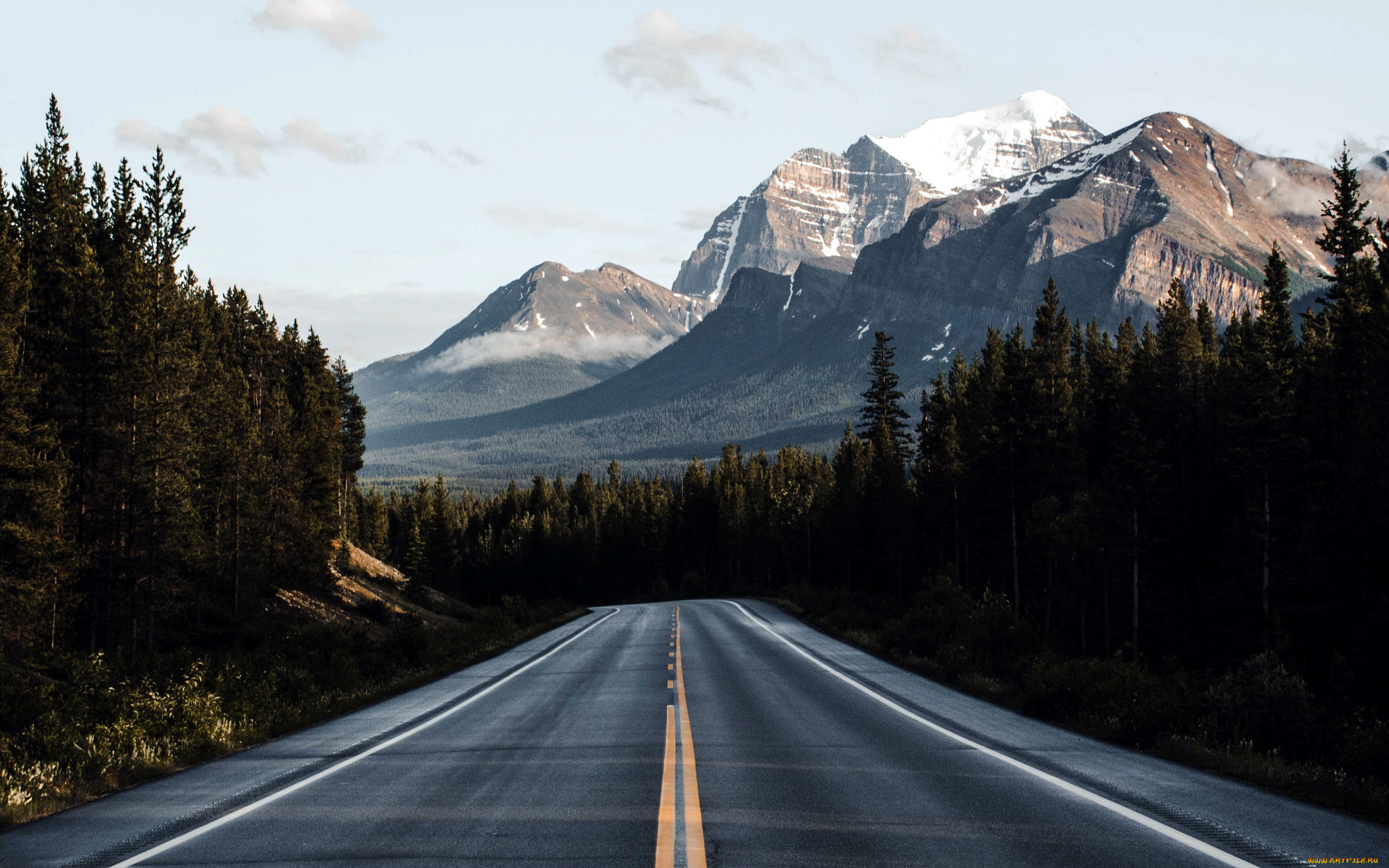 природа, дороги, шоссе