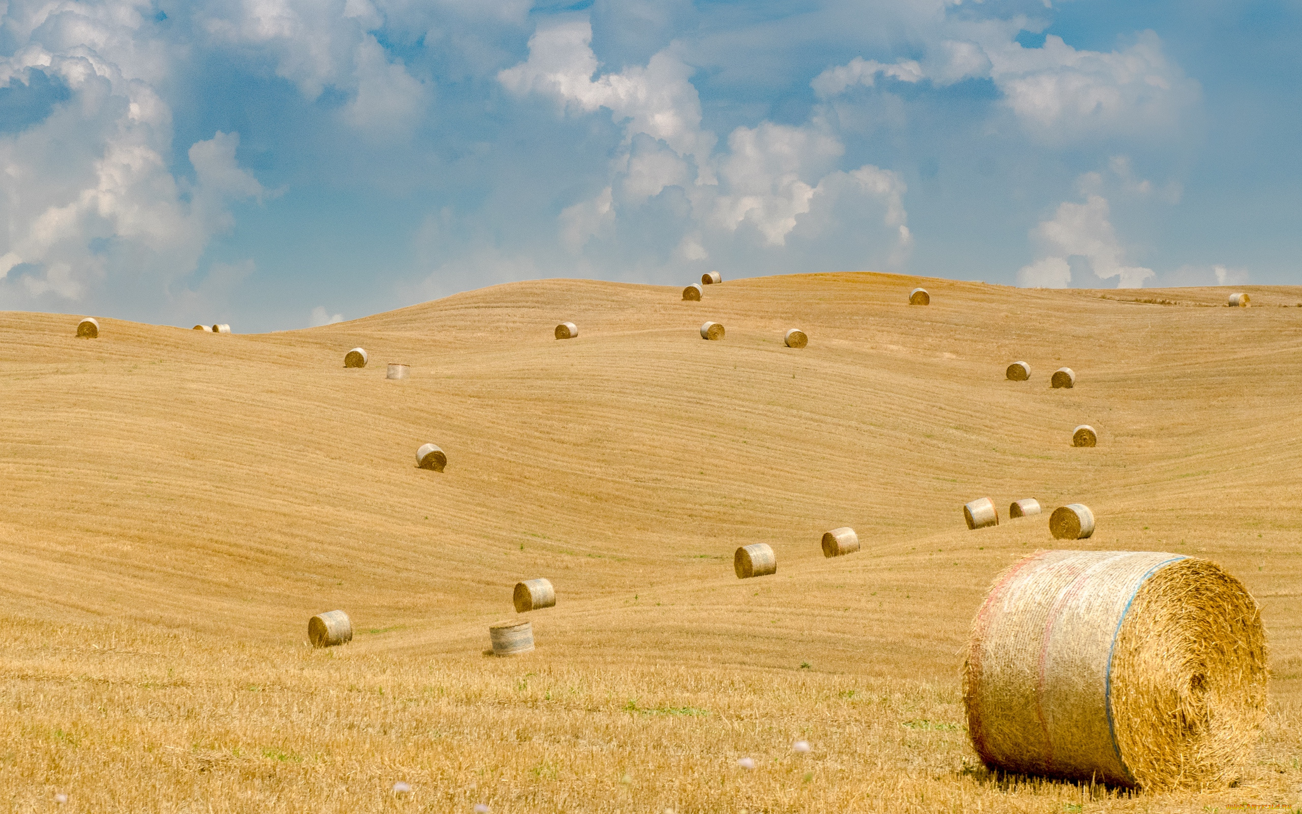 природа, поля, тюки, солома, поле