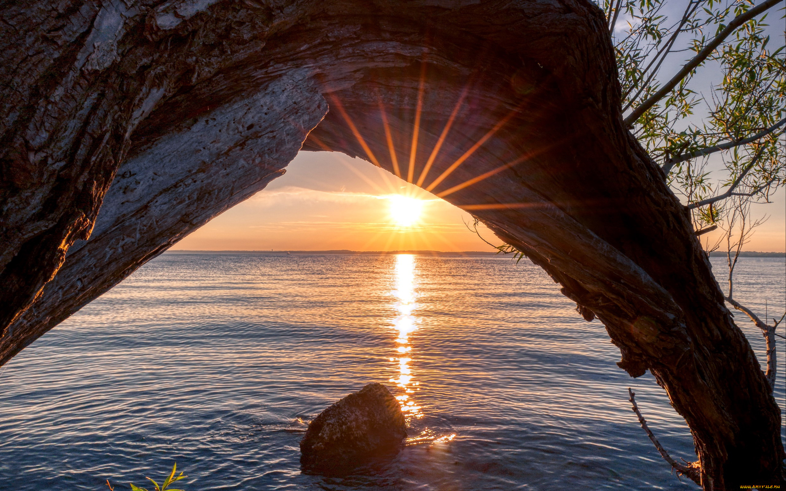 природа, восходы, закаты, закат