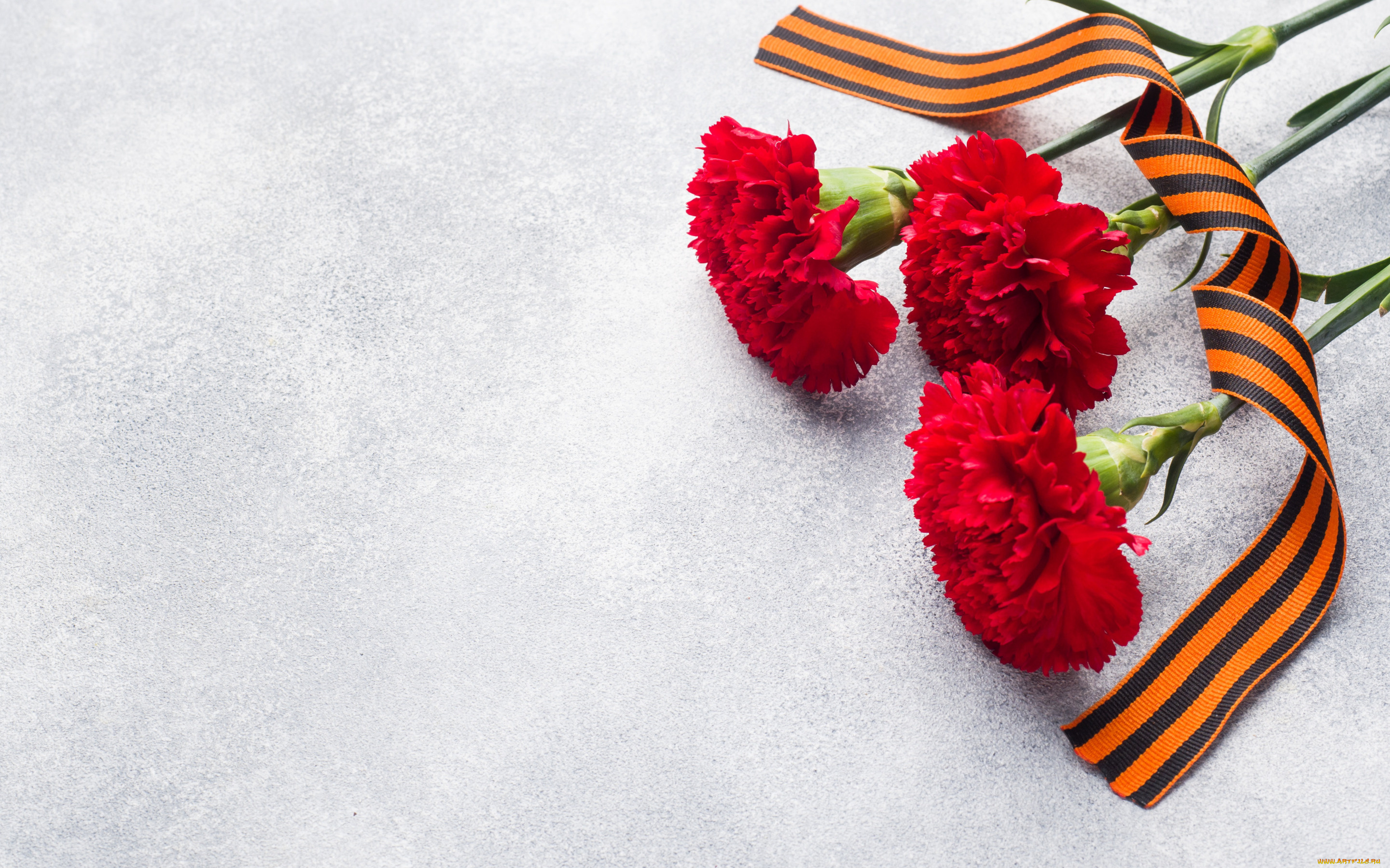 праздничные, день, победы, георгиевская, лента, гвоздика, 9, мая