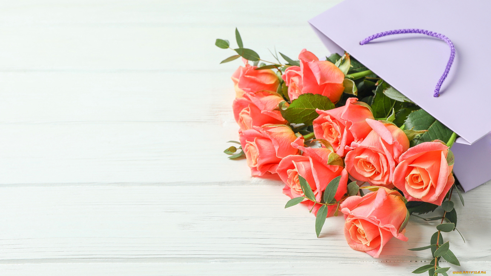 цветы, розы, бутоны