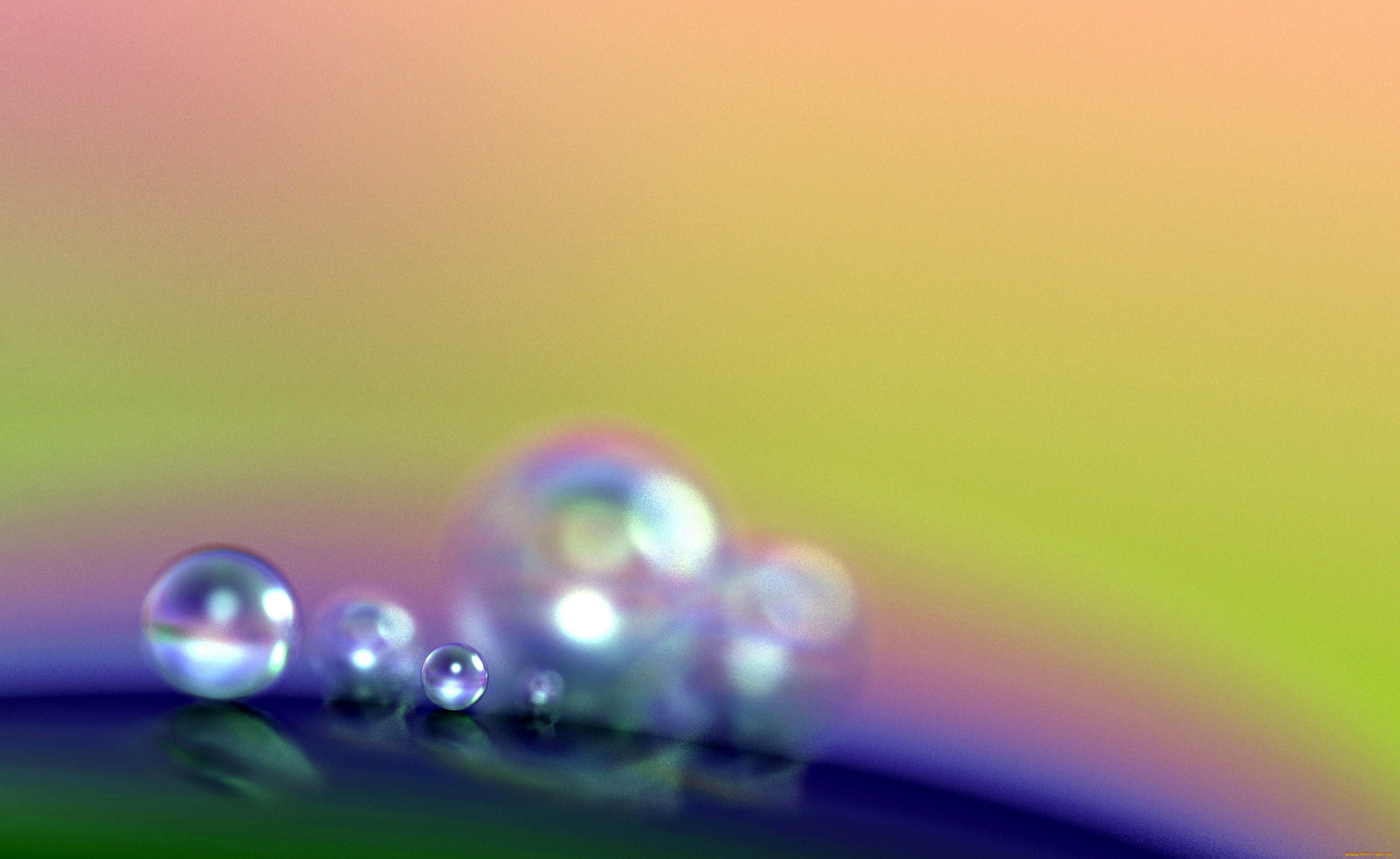 разное, капли, , брызги, , всплески, роса