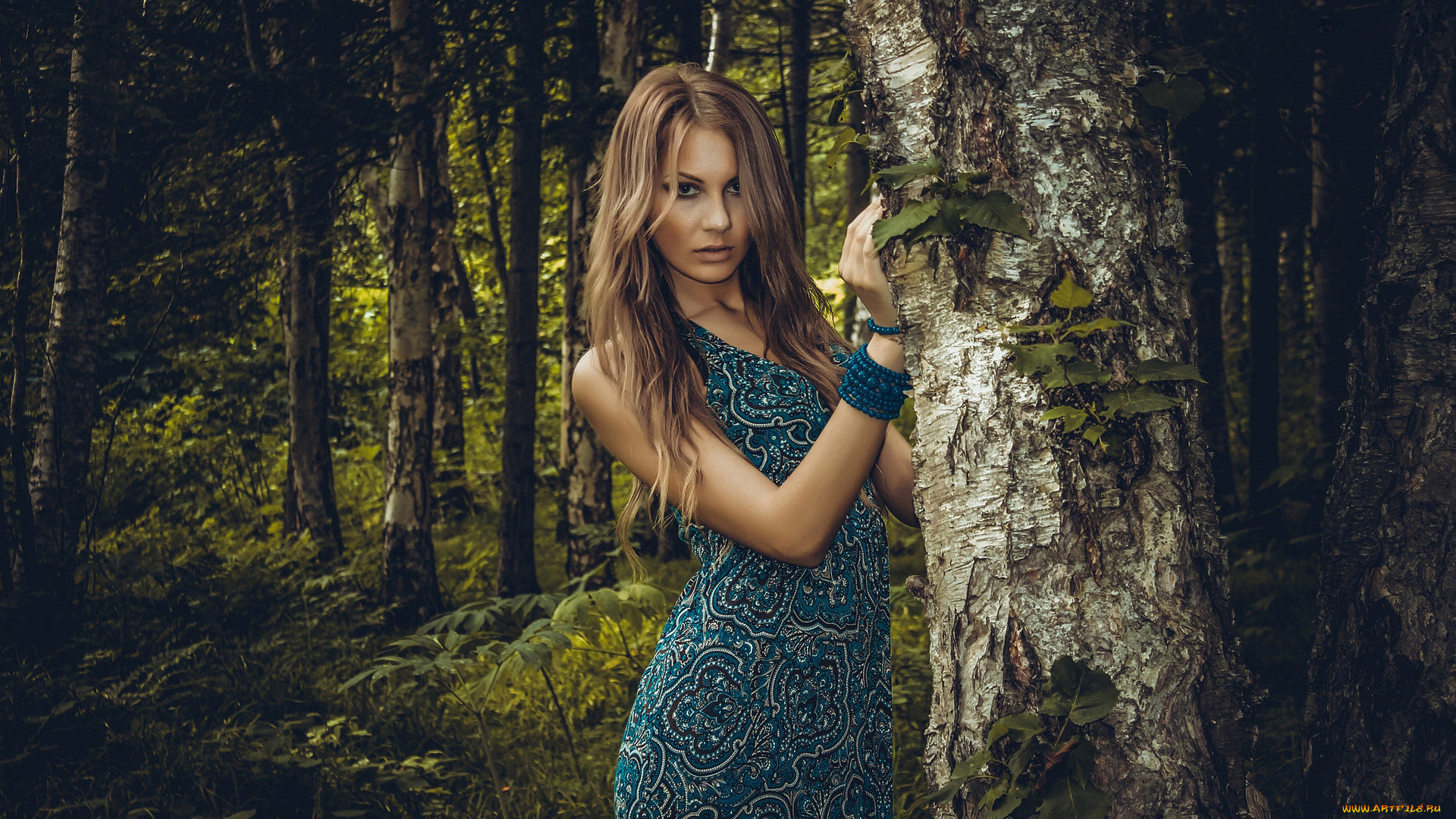 девушки, -, брюнетки, , шатенки, дерево, шатенка