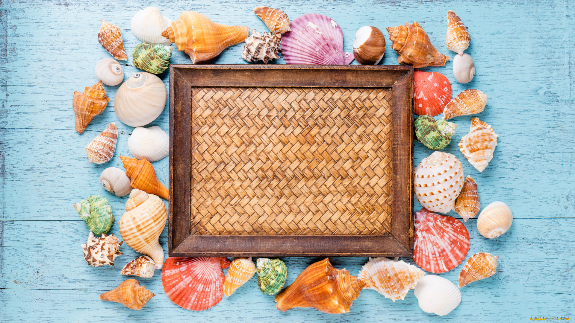 разное, ракушки, , кораллы, , декоративные, и, spa-камни, рамка