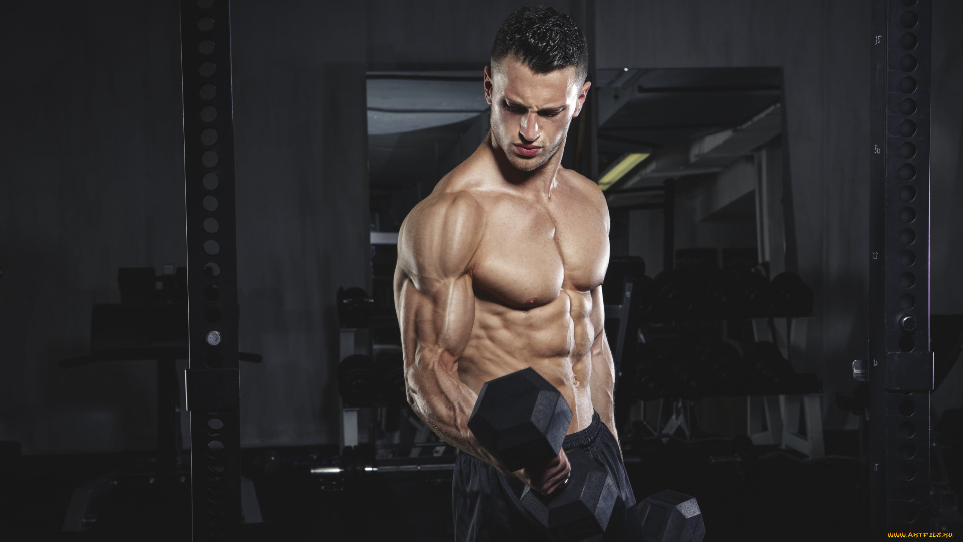 спорт, body, building, бодибилдинг, культурист, мужчина, мышцы, тяжелая, атлетика, гантели