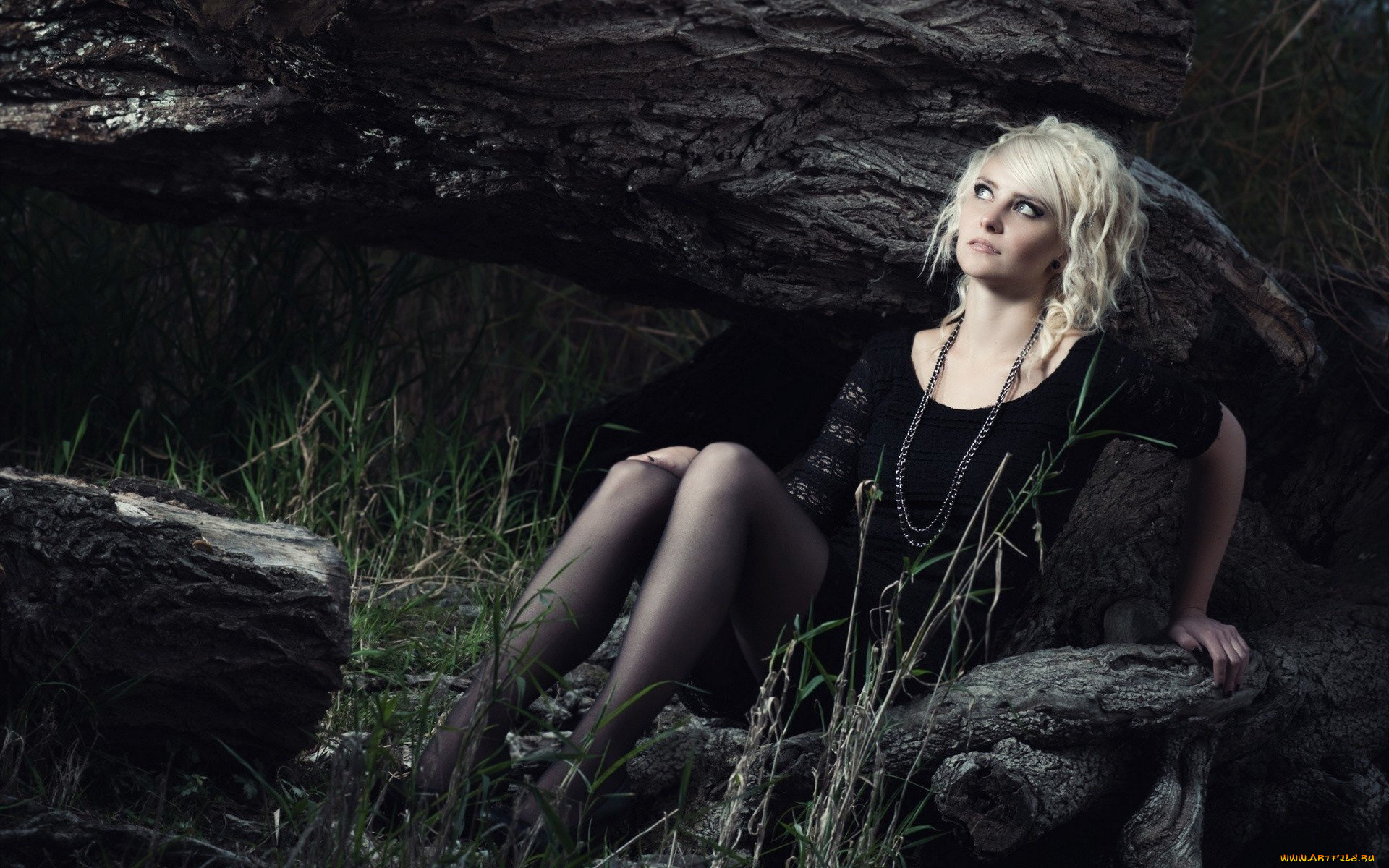 девушки, -, блондинки, , светловолосые, поза