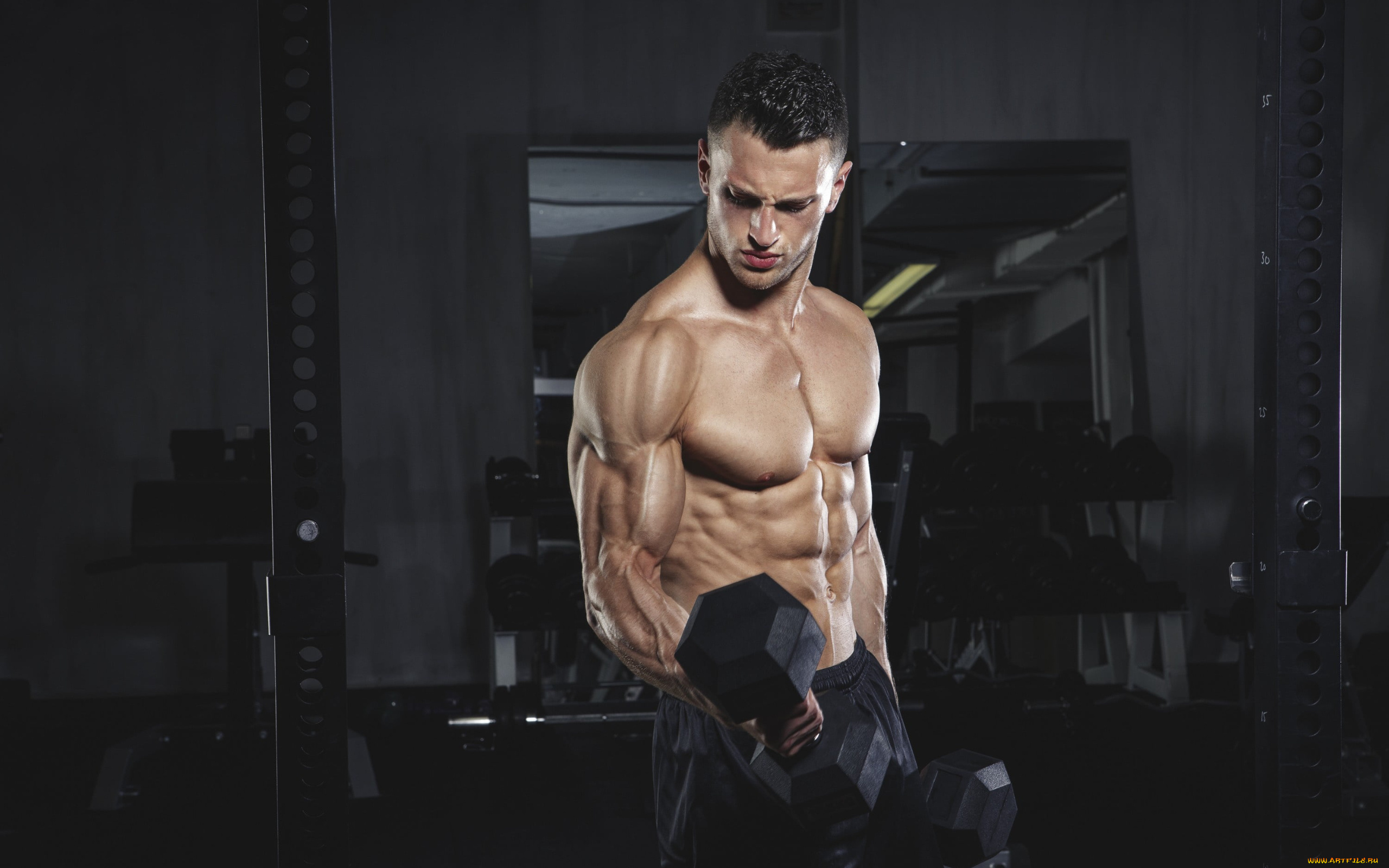 спорт, body, building, бодибилдинг, культурист, мужчина, мышцы, тяжелая, атлетика, гантели