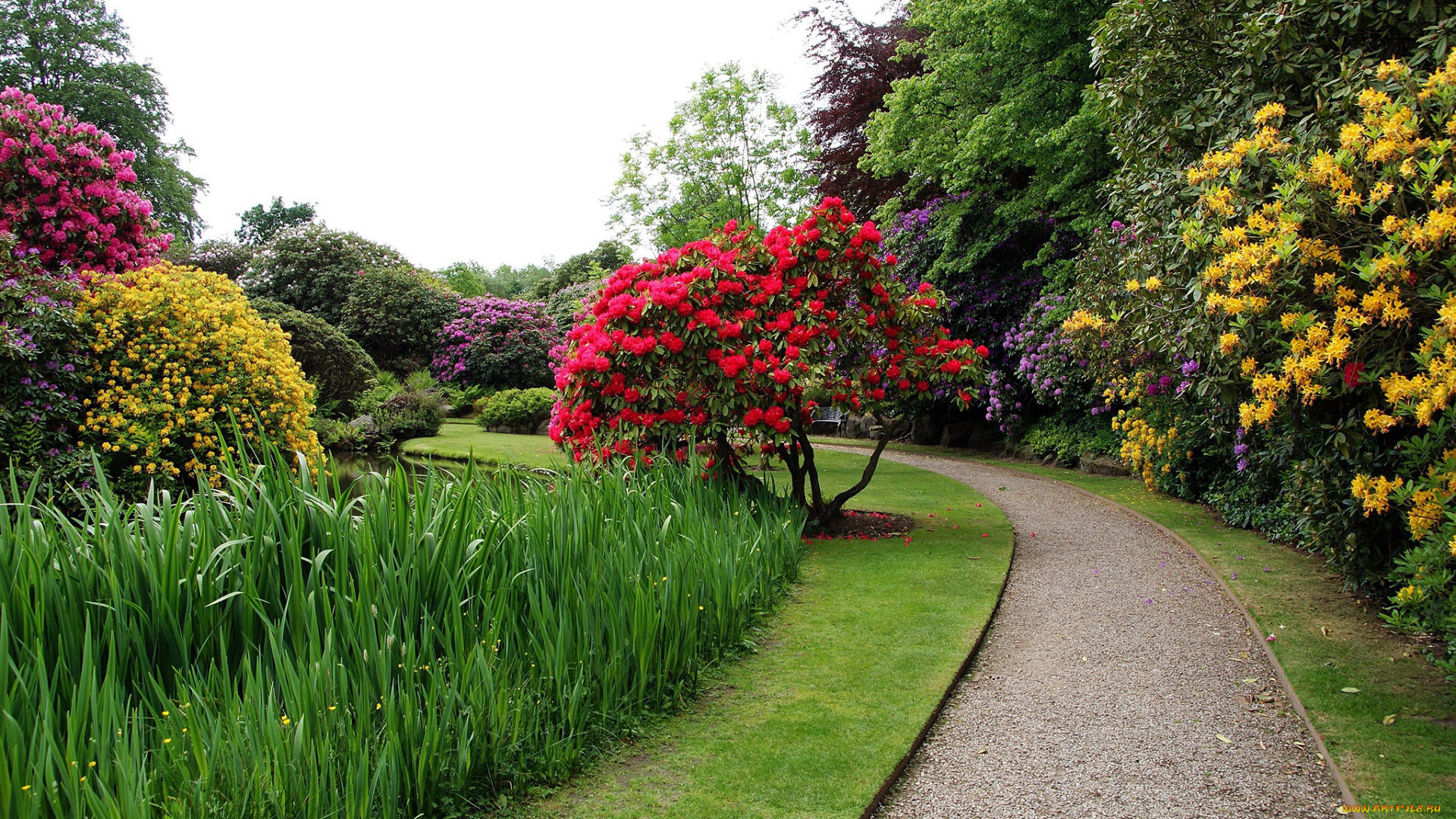 biddulph, grange, garden, england, природа, парк, biddulph, grange, garden