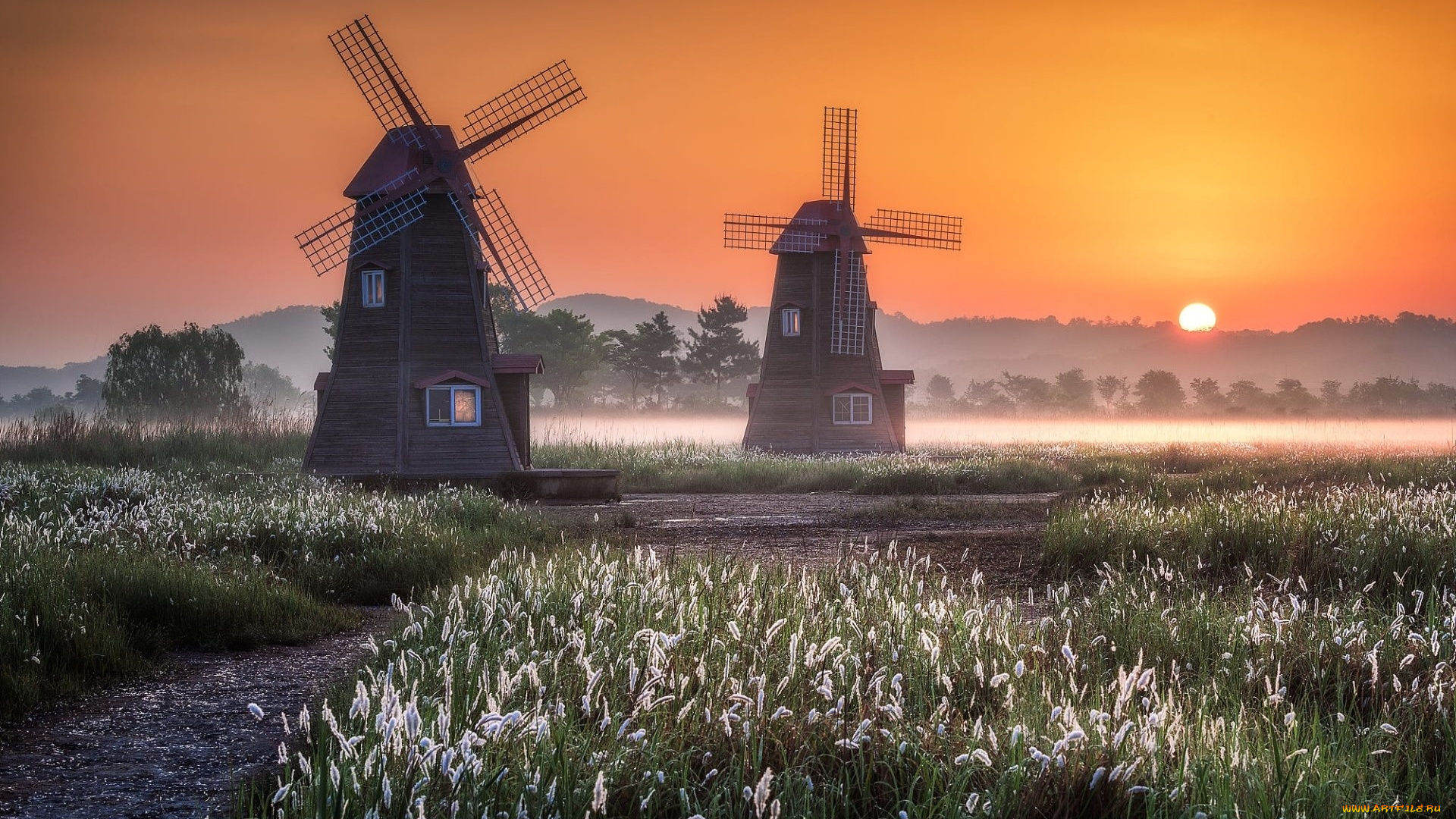 разное, мельницы, цветы, закат, туман