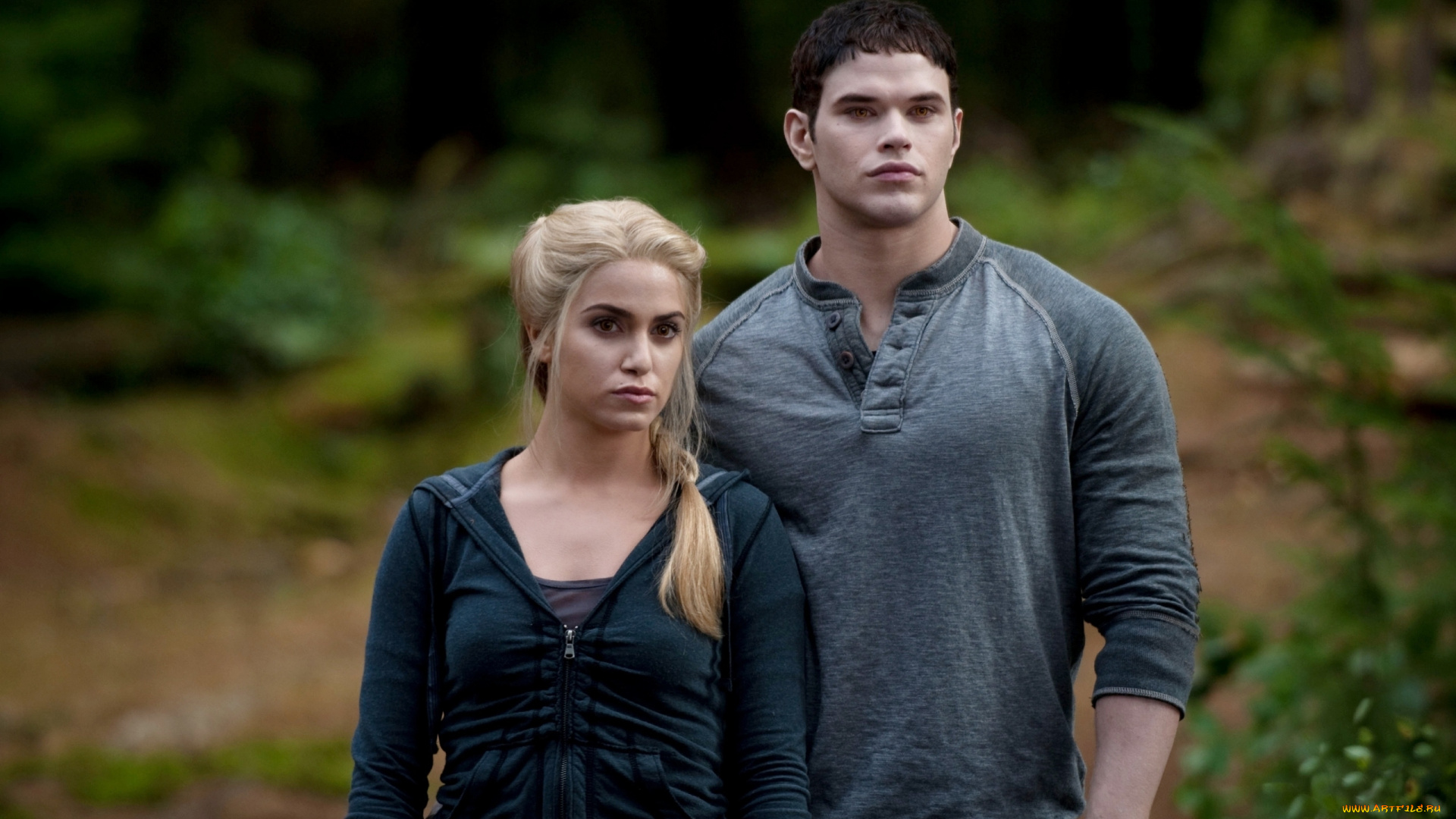 кино, фильмы, the, twilight, saga, , eclipse, вампирская, сага