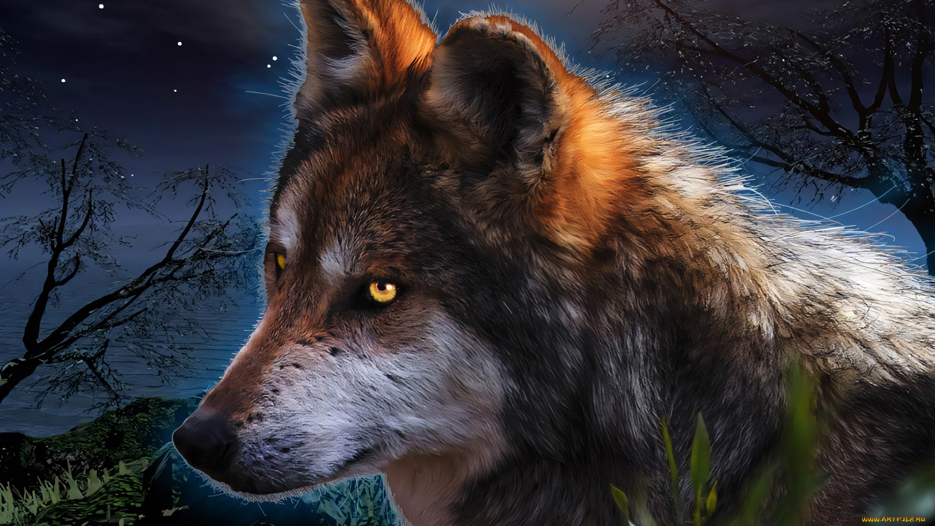 разное, компьютерный, дизайн, волк