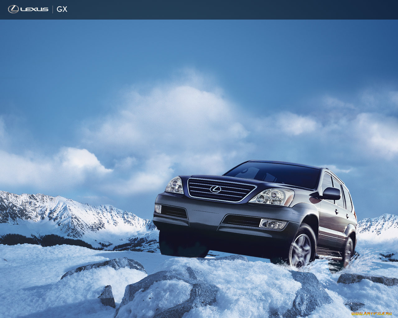 автомобили, lexus