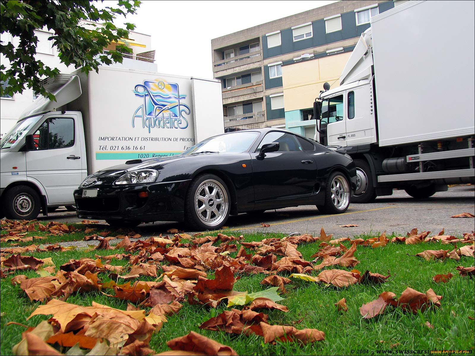 автомобили, toyota