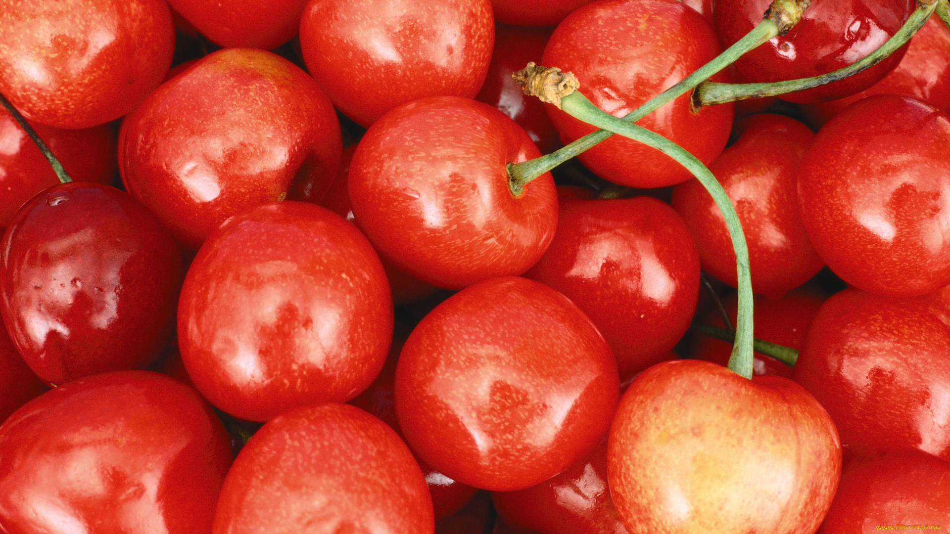 еда, вишня, черешня