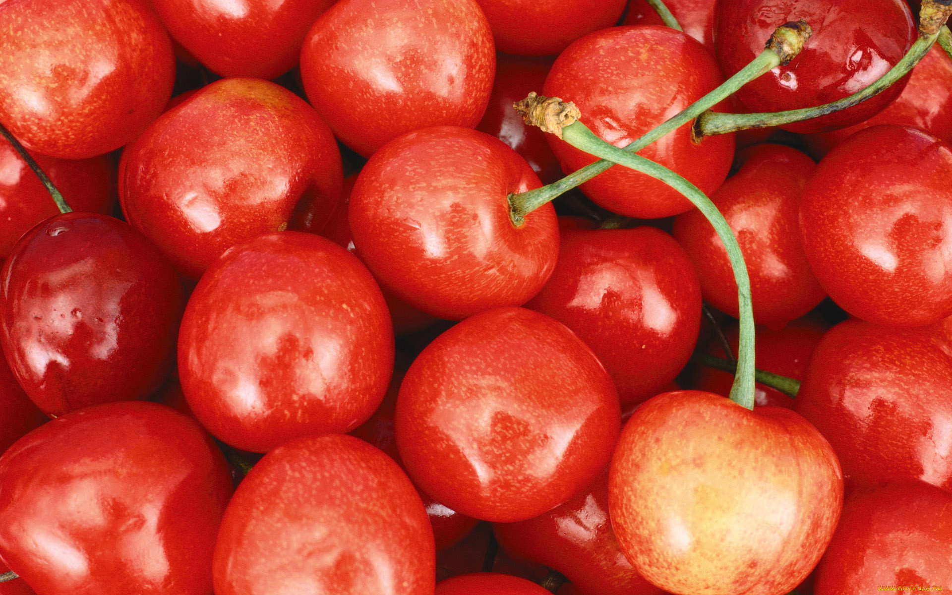 еда, вишня, черешня