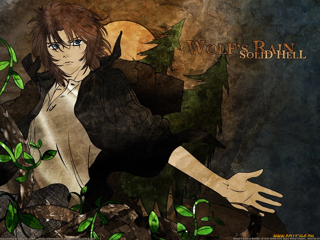 аниме, wolf`s, rain