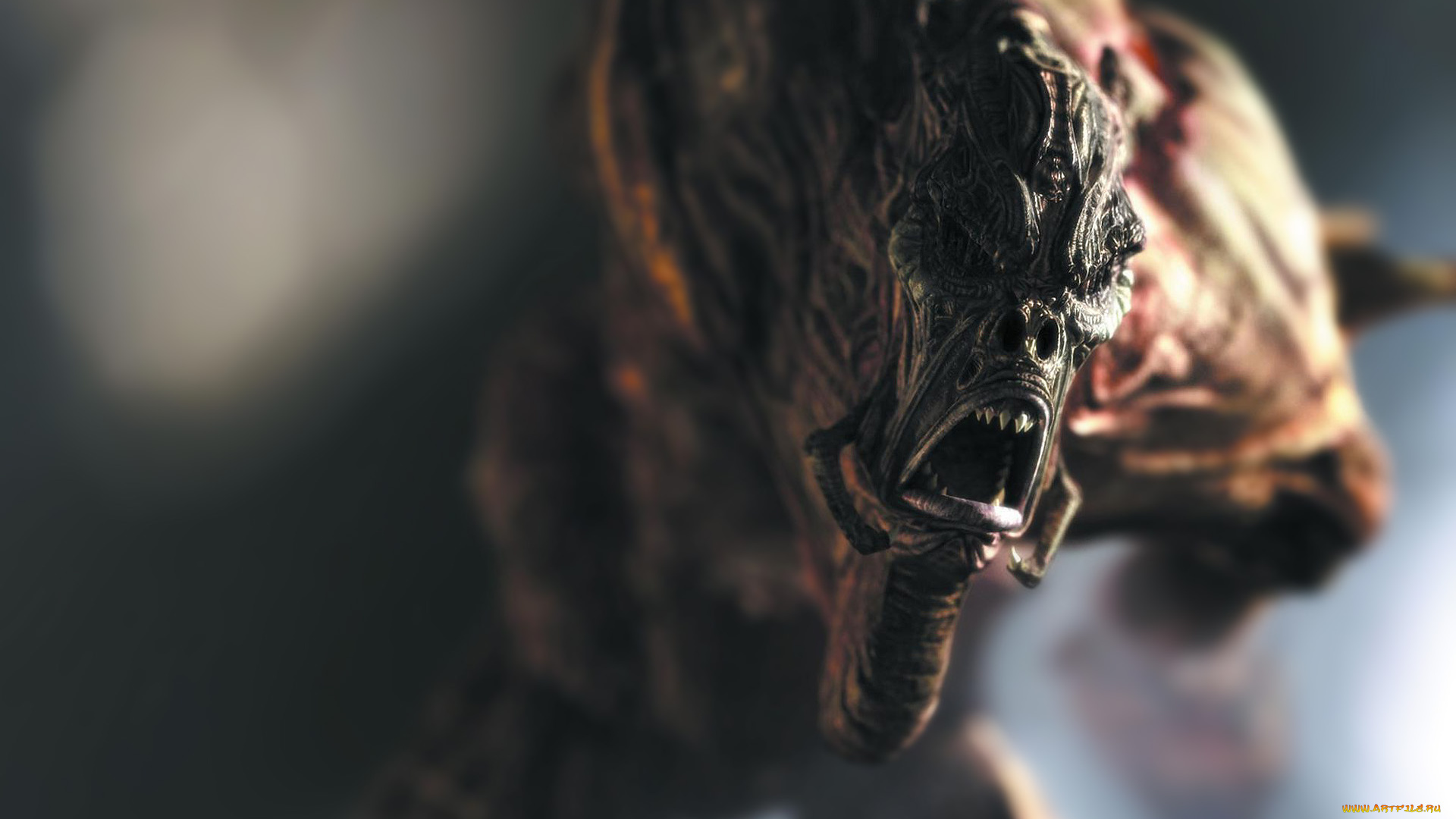 видео, игры, kaena