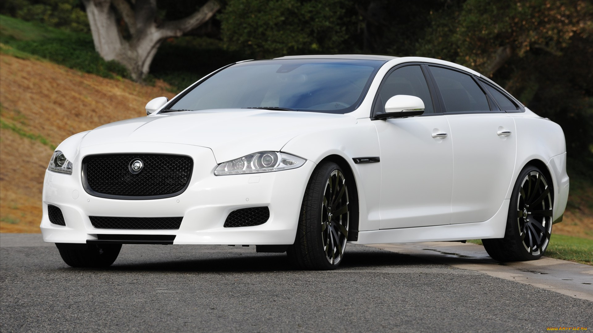 автомобили, jaguar