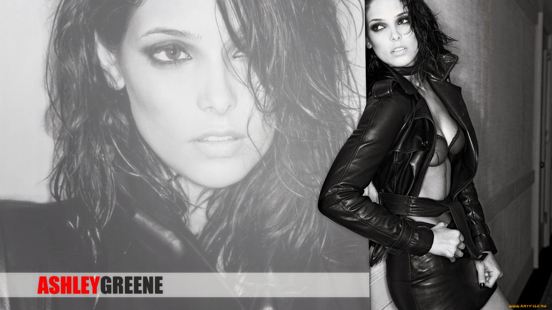 Ashley, Greene, девушки, актриса, кожа, костюм