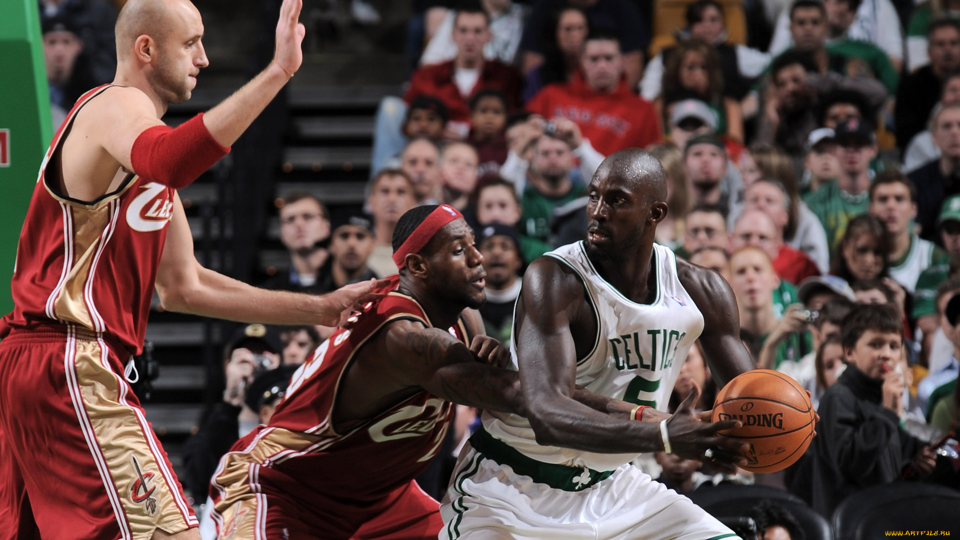 спорт, баскетбол