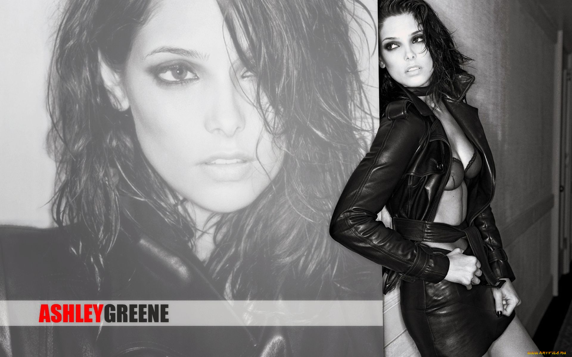 Ashley, Greene, девушки, актриса, кожа, костюм