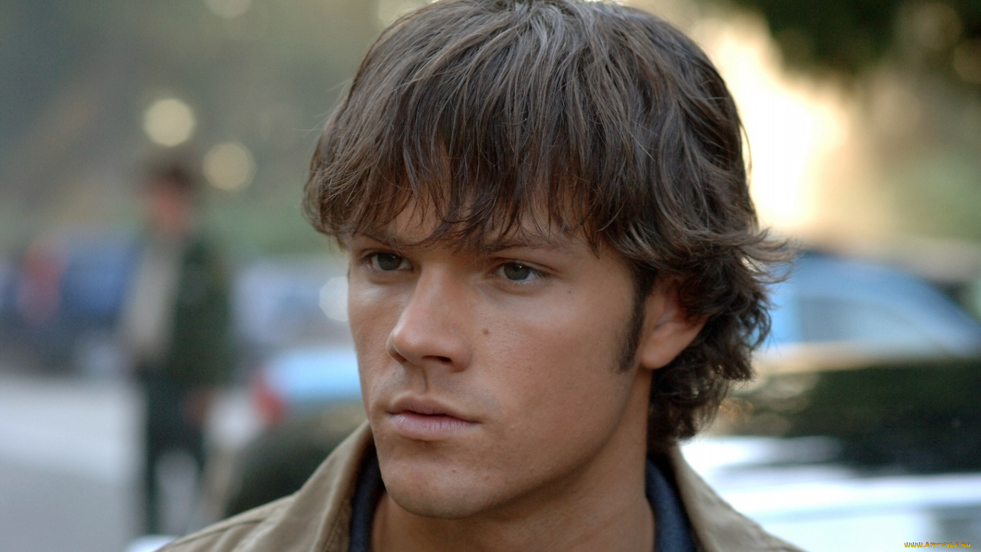 кино, фильмы, supernatural, джаред, падалеки, актер