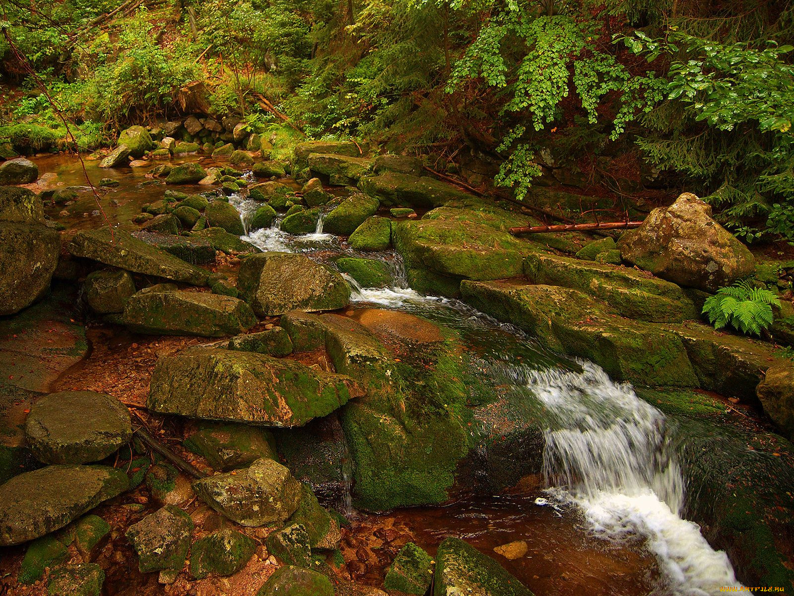 природа, реки, озера, ручей, камни