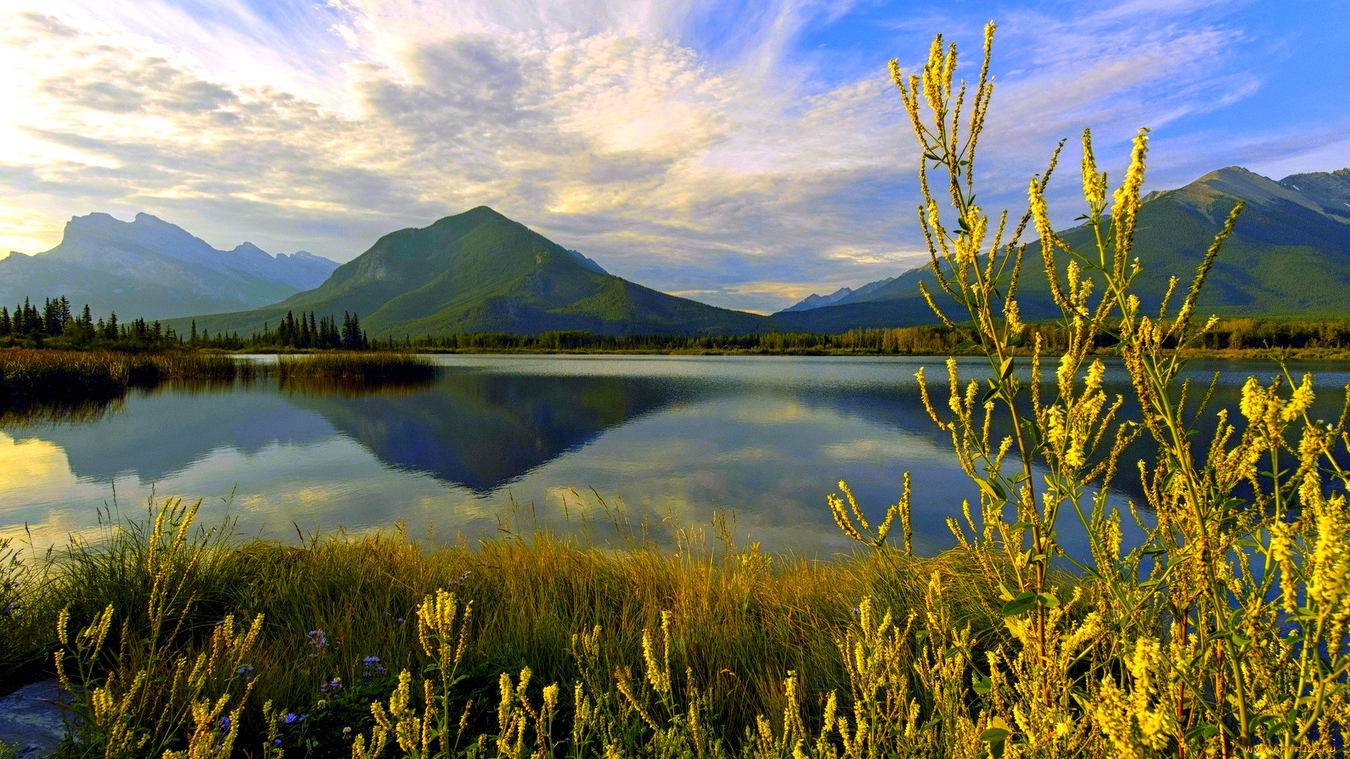 calm, lake, природа, реки, озера, трава, озеро, горы
