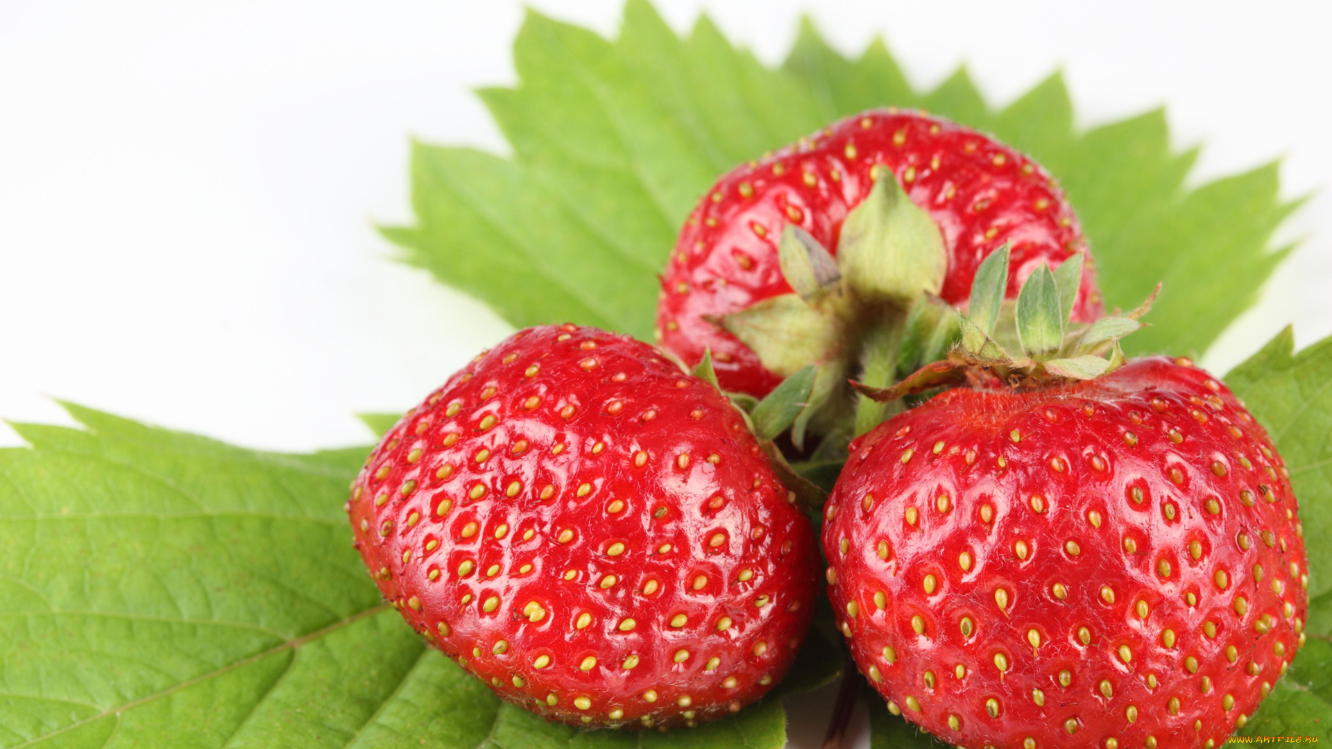 еда, клубника, земляника, ягоды