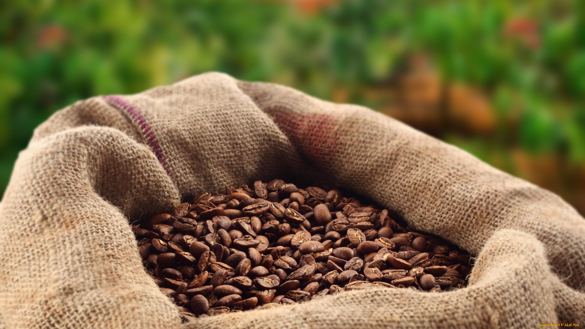 еда, кофе, кофейные, зёрна, напиток
