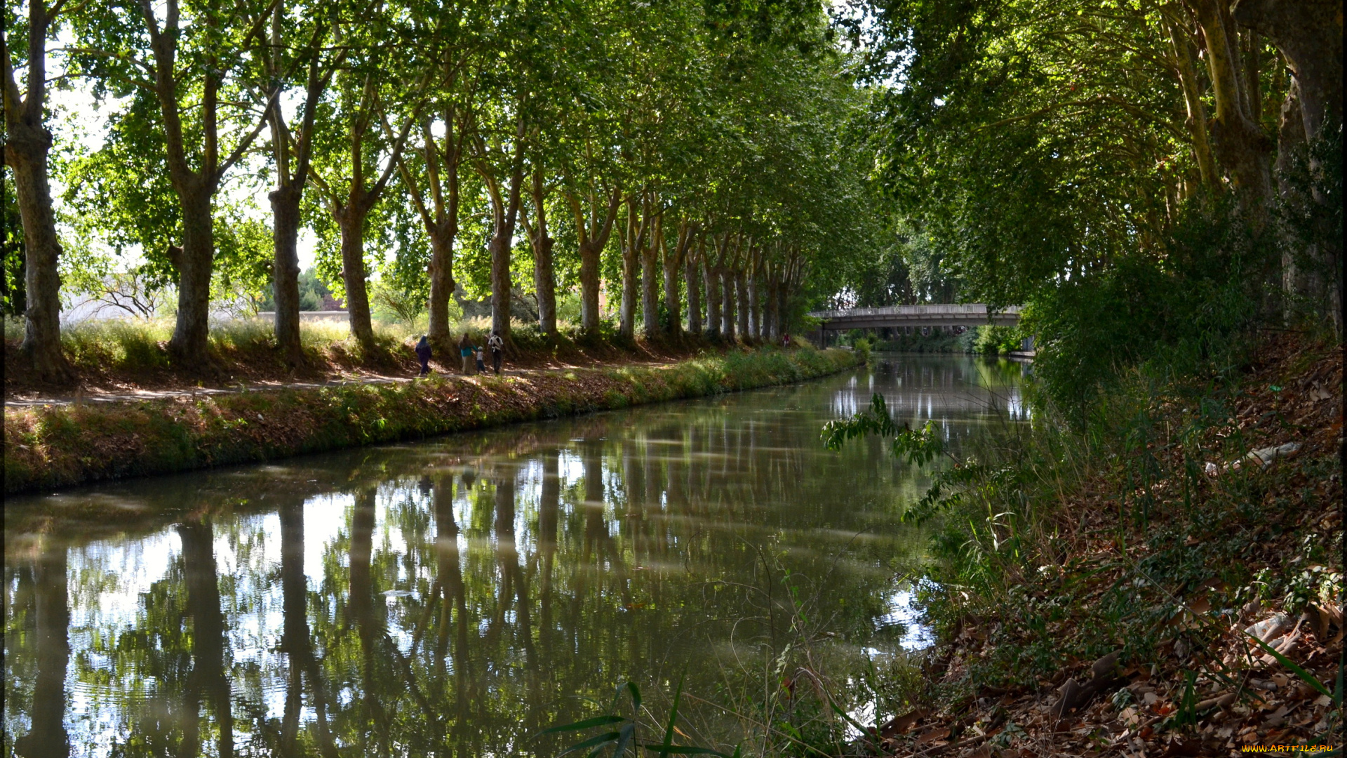 франция, безье, canal, du, midi, природа, реки, озера
