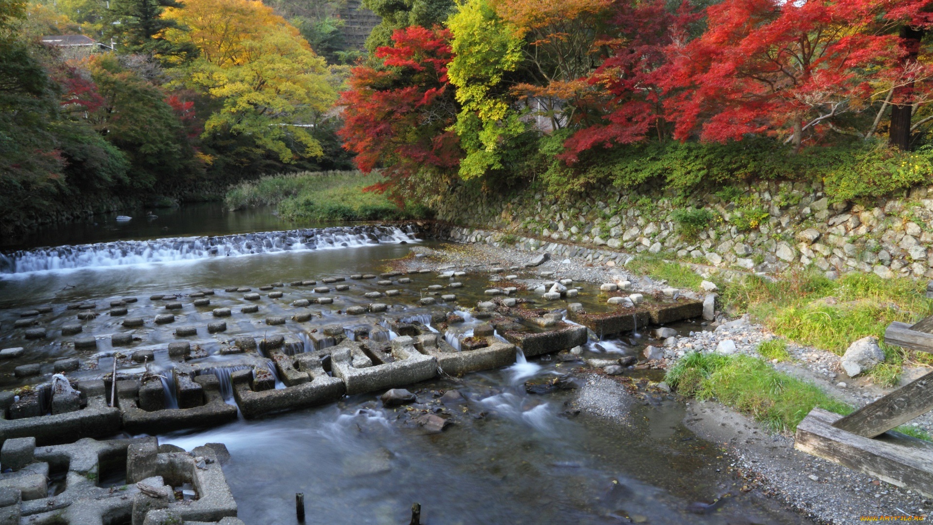 природа, реки, озера, река