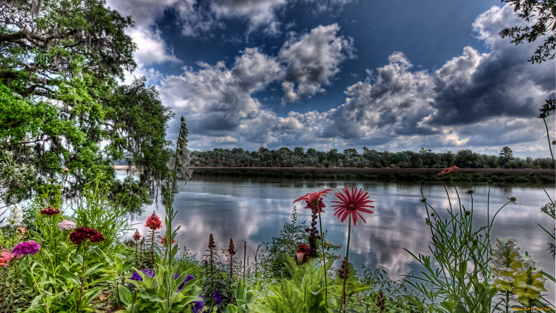 red, flower, river, природа, реки, озера, луг, облака, река