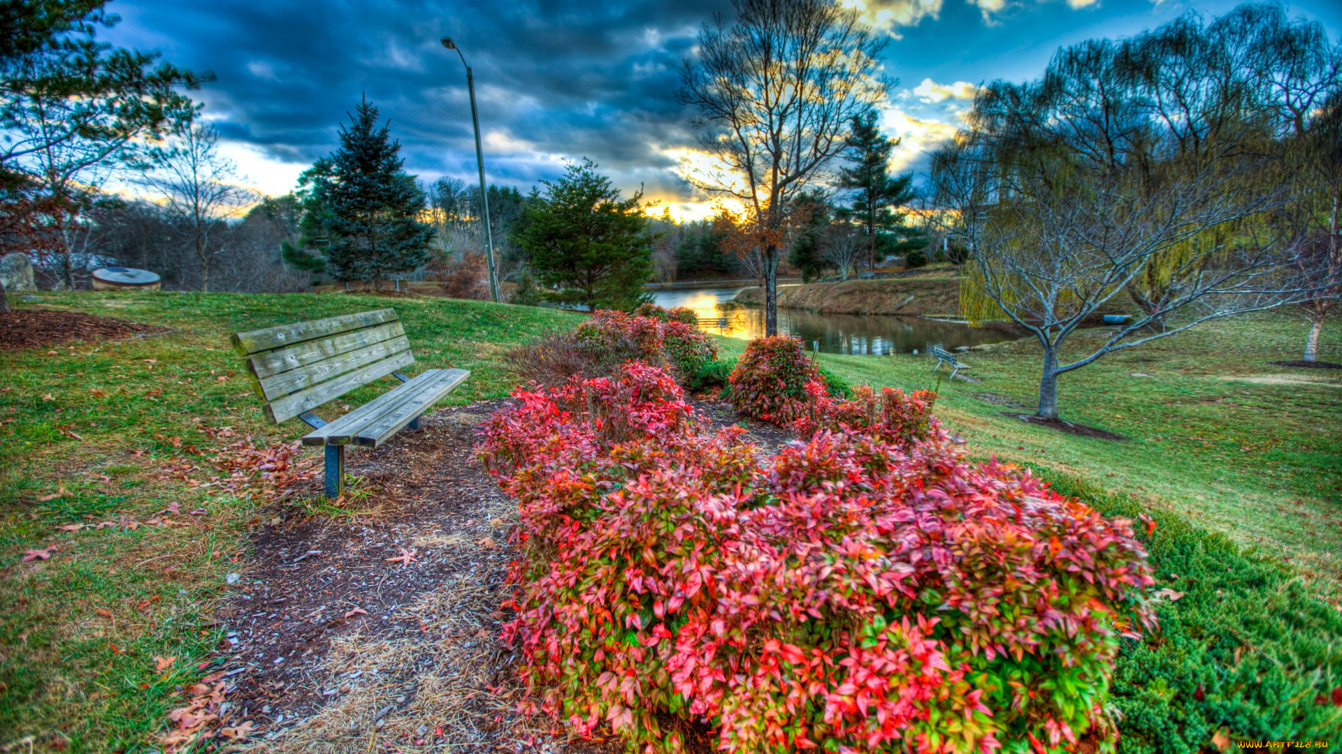 reflection, природа, парк, скамейка, река