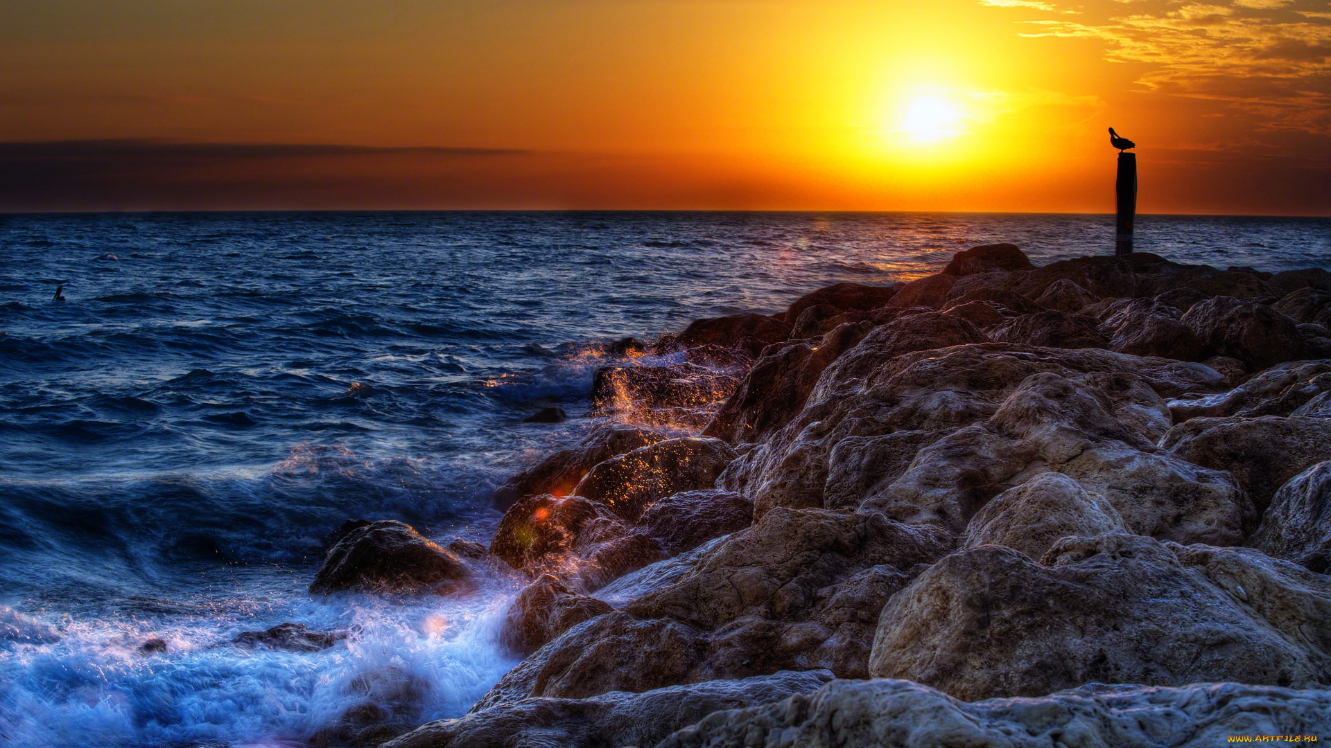 sunset, природа, восходы, закаты, камни, океан, чайка, закат