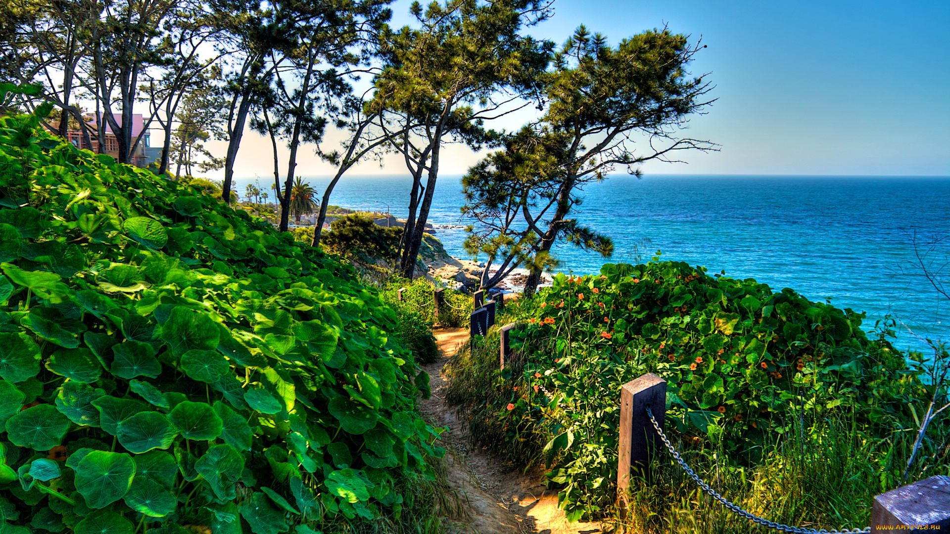 the, beach, природа, побережье, склон, море, деревья