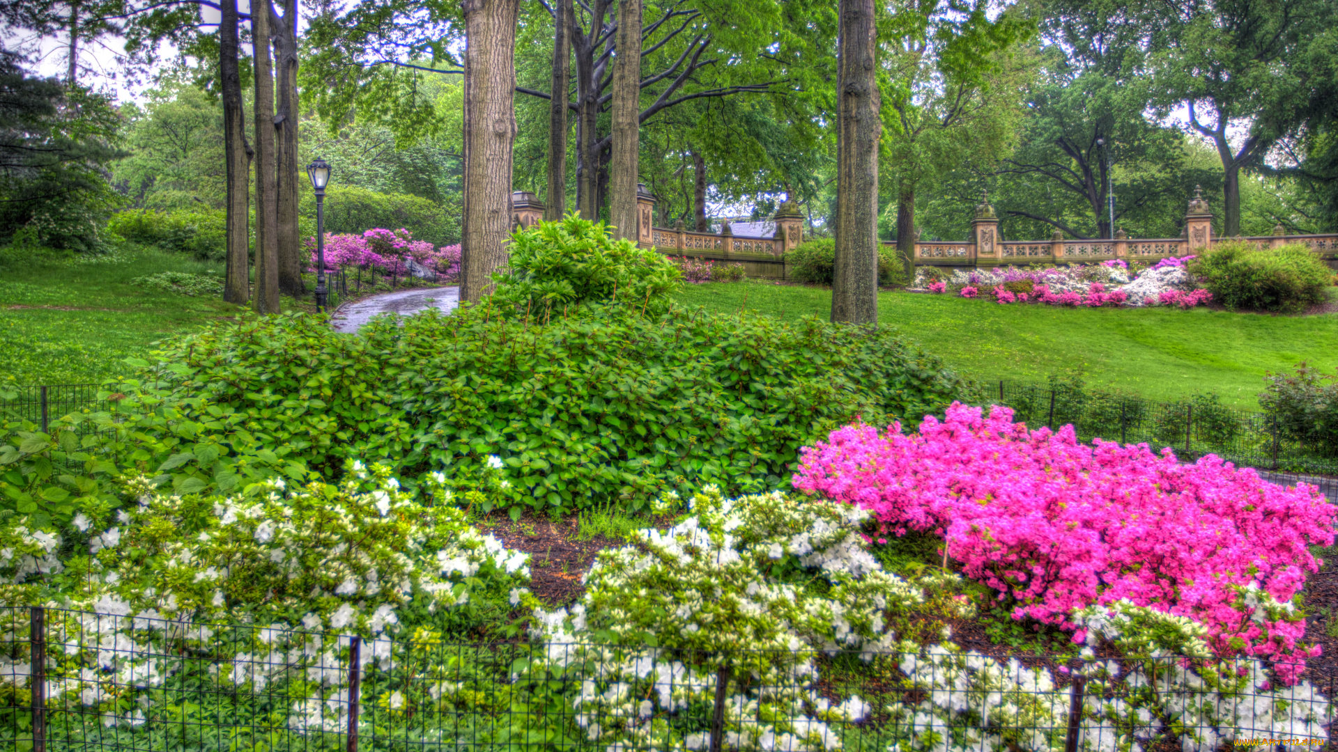 the, garden, природа, парк, деревья, цветы