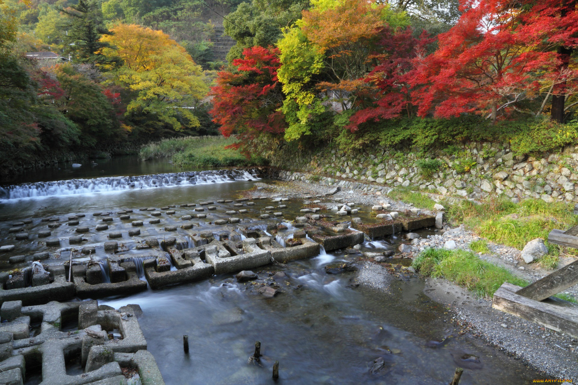 природа, реки, озера, река