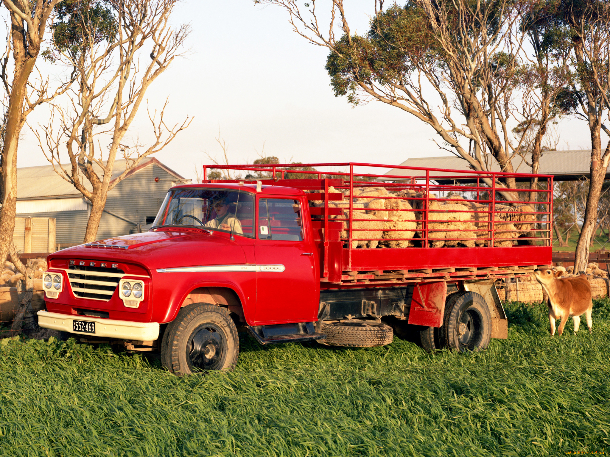 автомобили, dodge