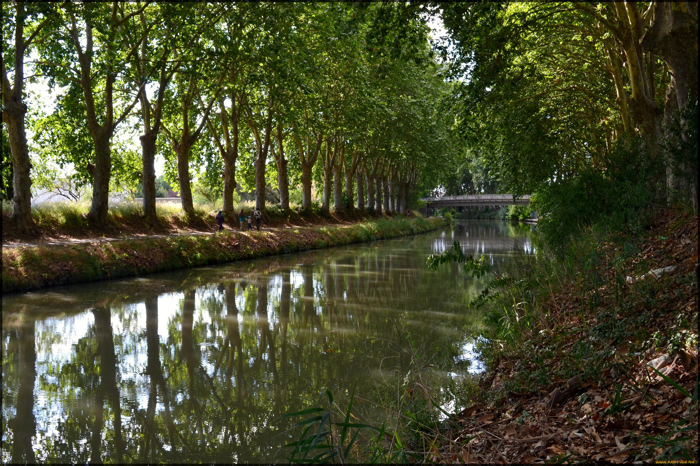 франция, безье, canal, du, midi, природа, реки, озера