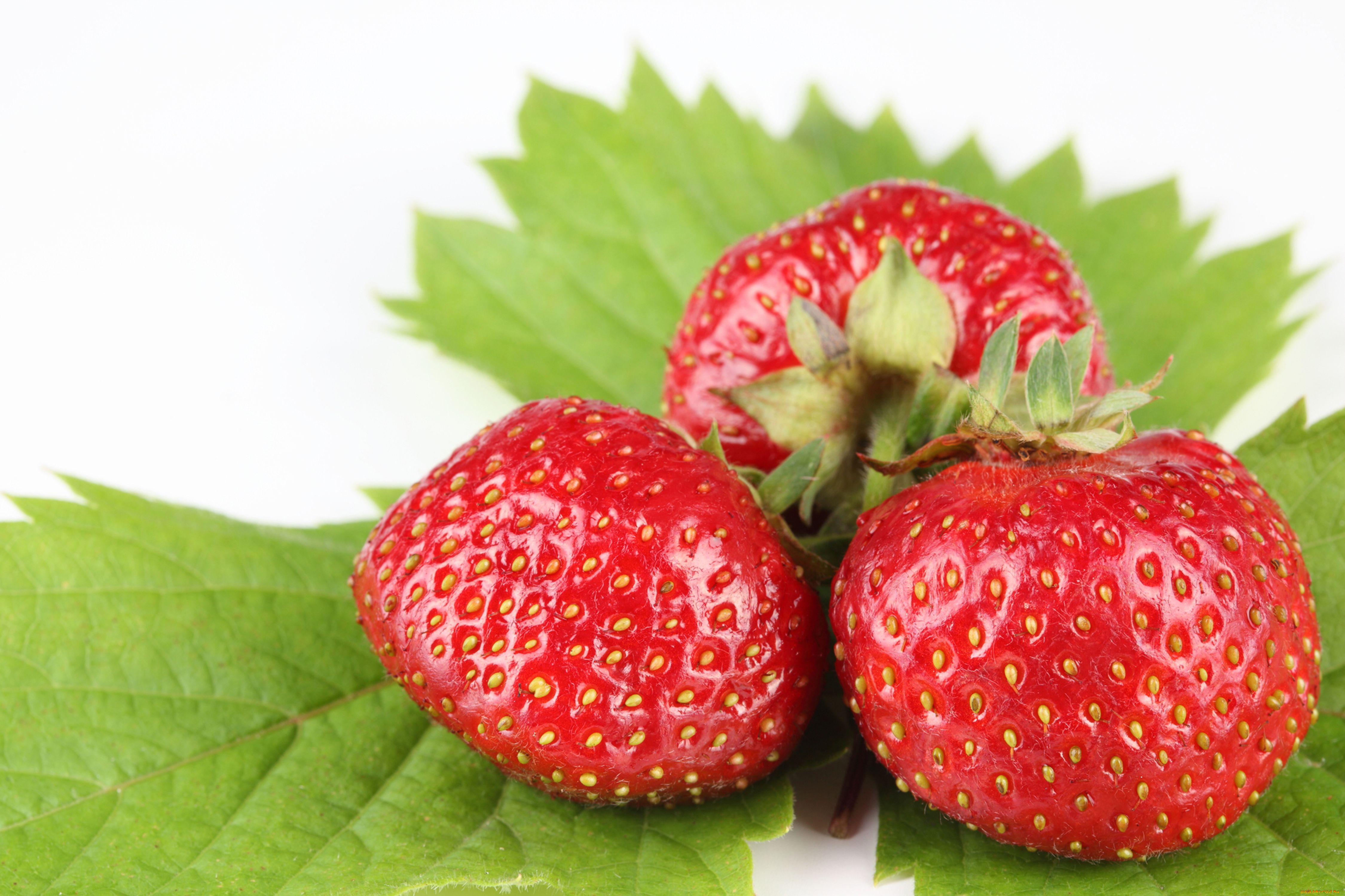 еда, клубника, земляника, ягоды