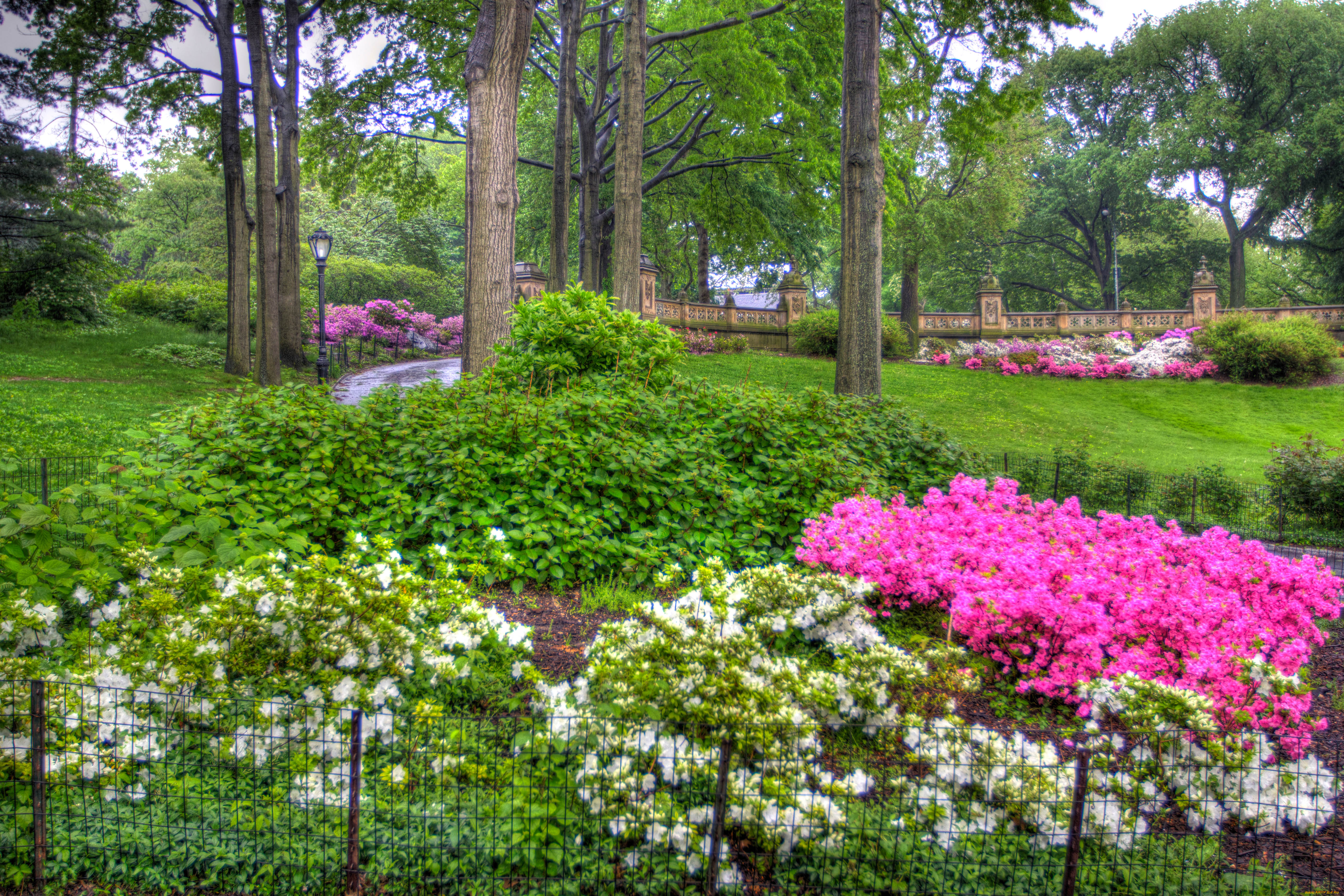 the, garden, природа, парк, деревья, цветы