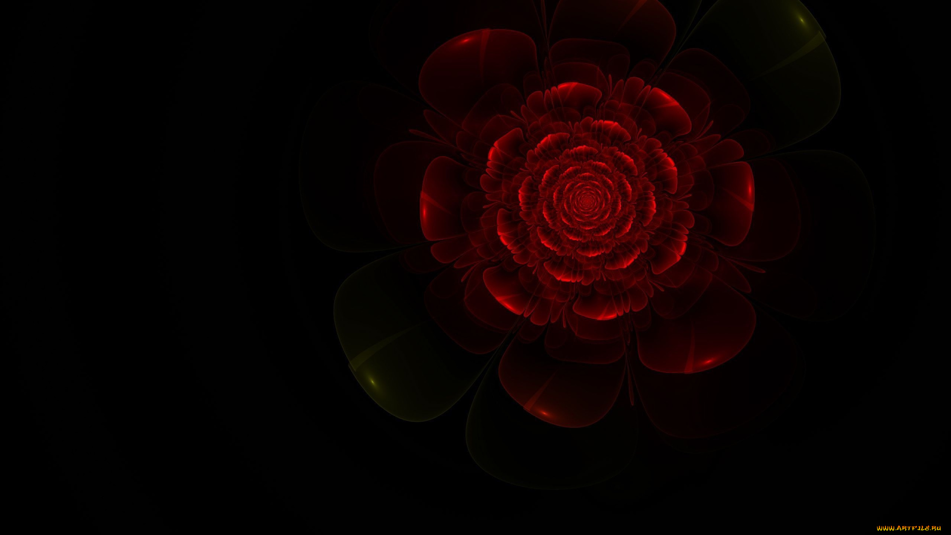 3д, графика, цветы, , flowers, роза