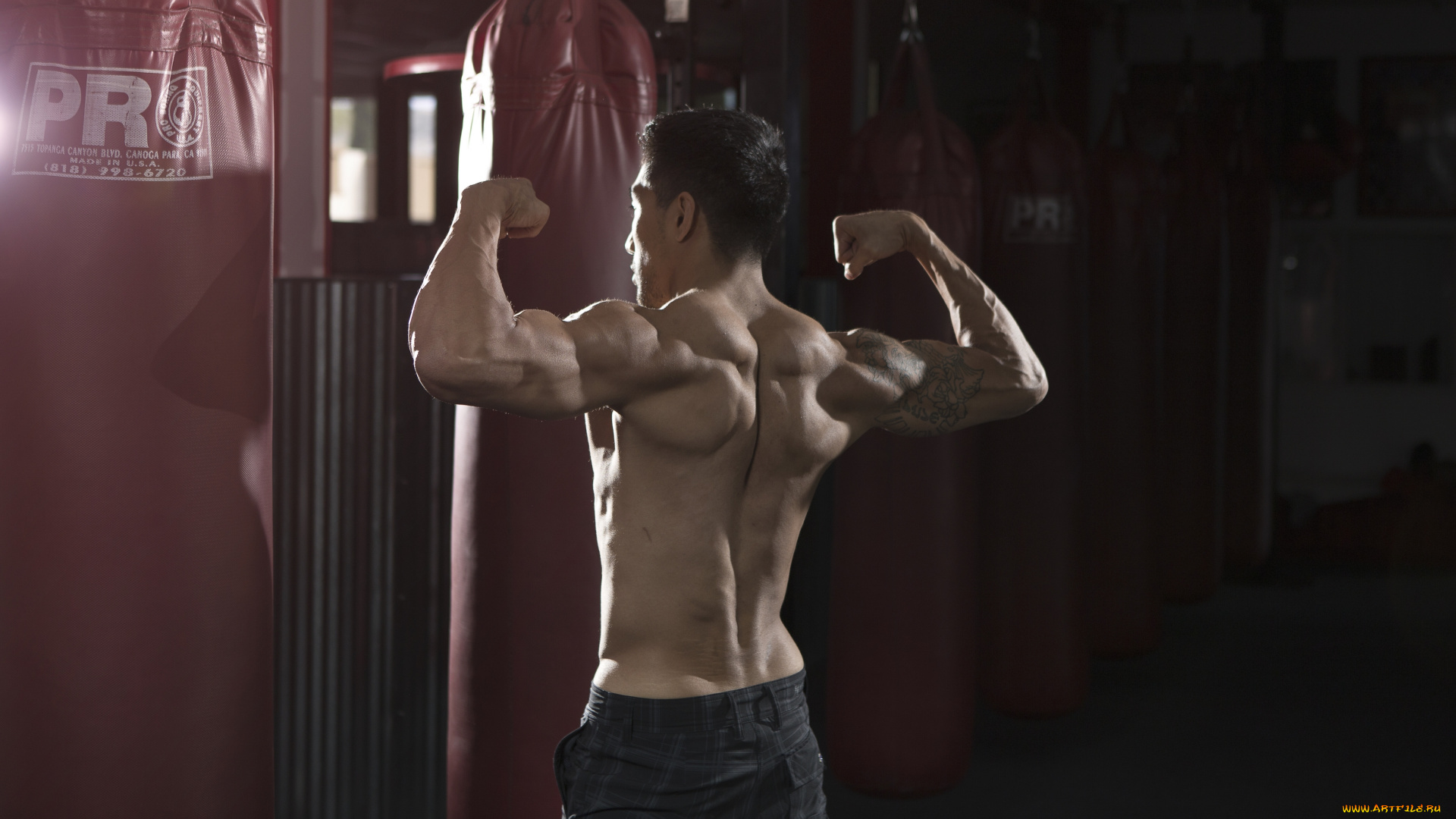 мужчины, -, unsort, мускулы, спортсмен, спина, тату