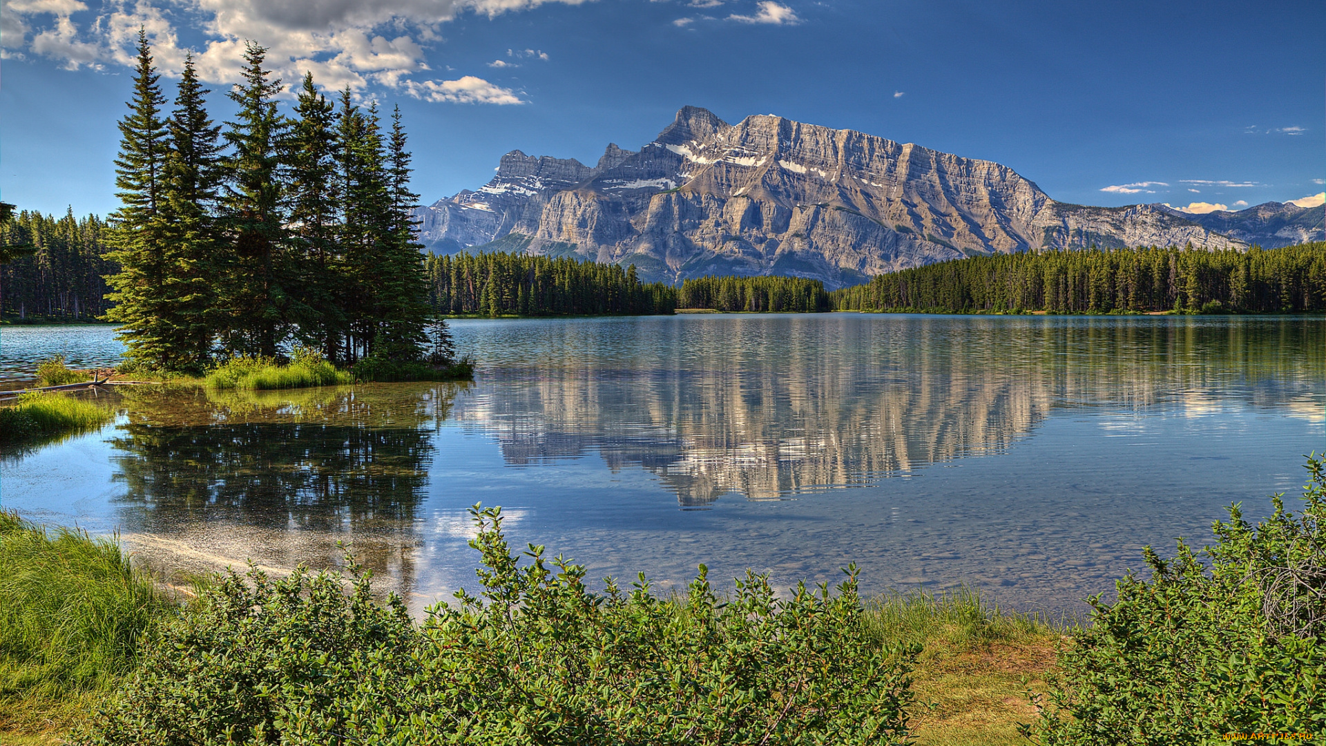 природа, реки, озера, деревья, вода