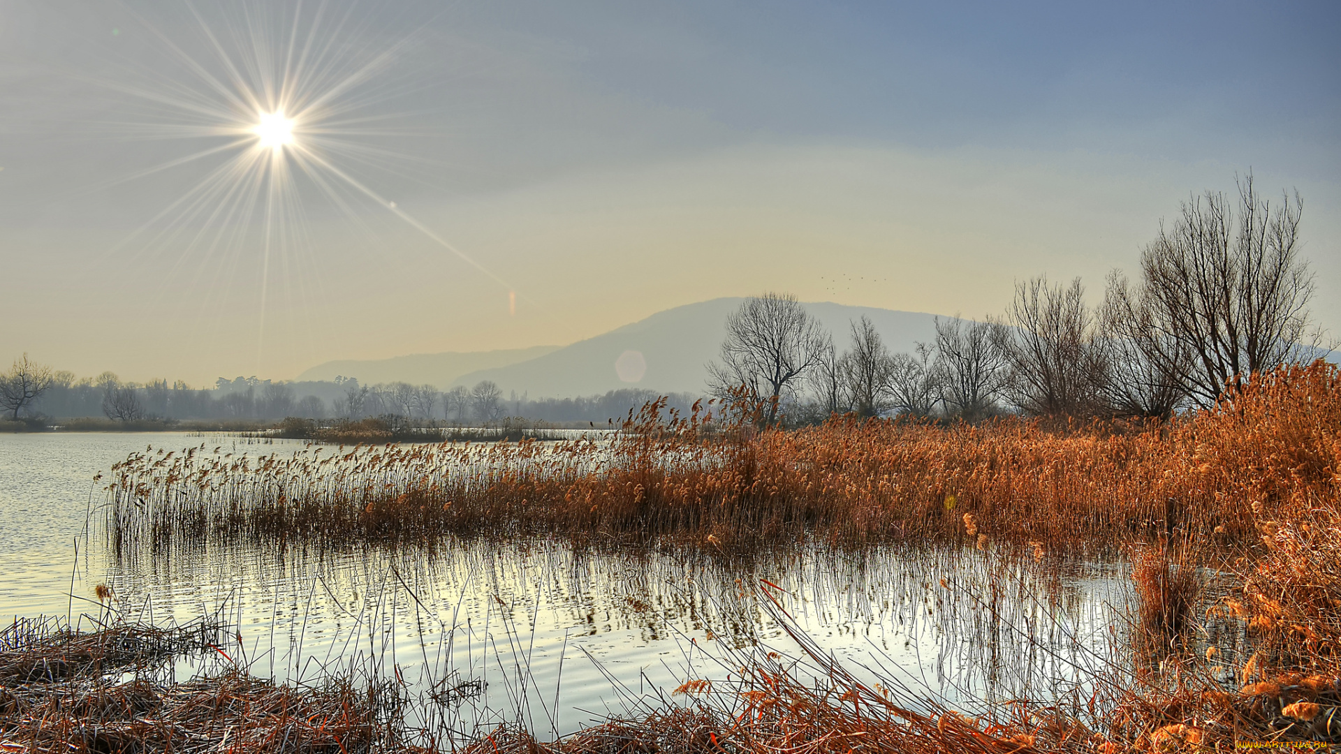 природа, реки, озера, лес, поздняя, осень, озеро, горы, солнце, лучи, камыш