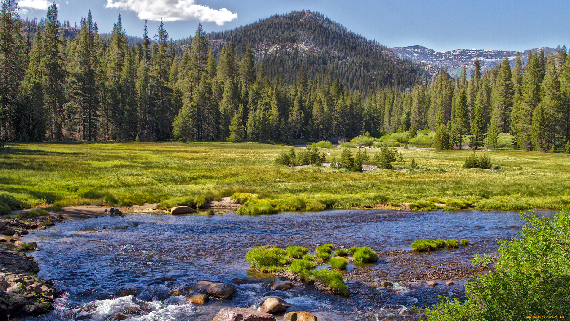 природа, реки, озера, река, лес, горы