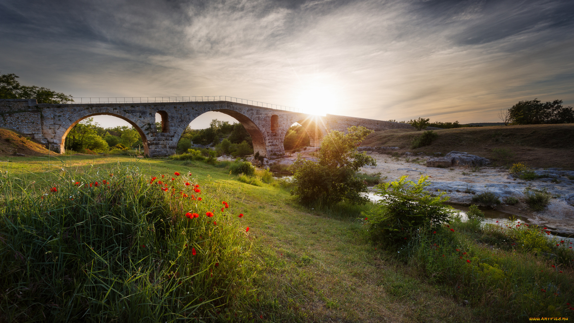 природа, восходы, закаты, солнце, мост, маки, цветы, клумба, лучи, поток, река