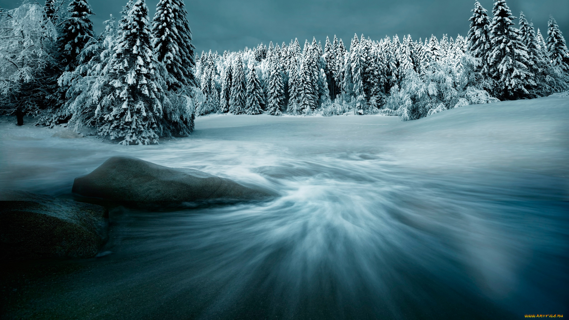 природа, зима, ёлки, снег