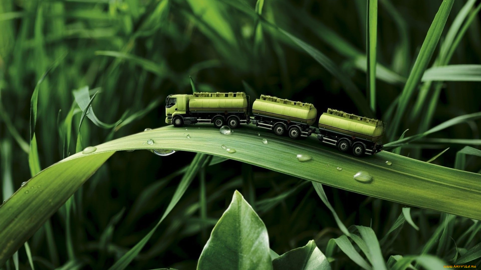 разное, компьютерный, дизайн, листья, автомобиль